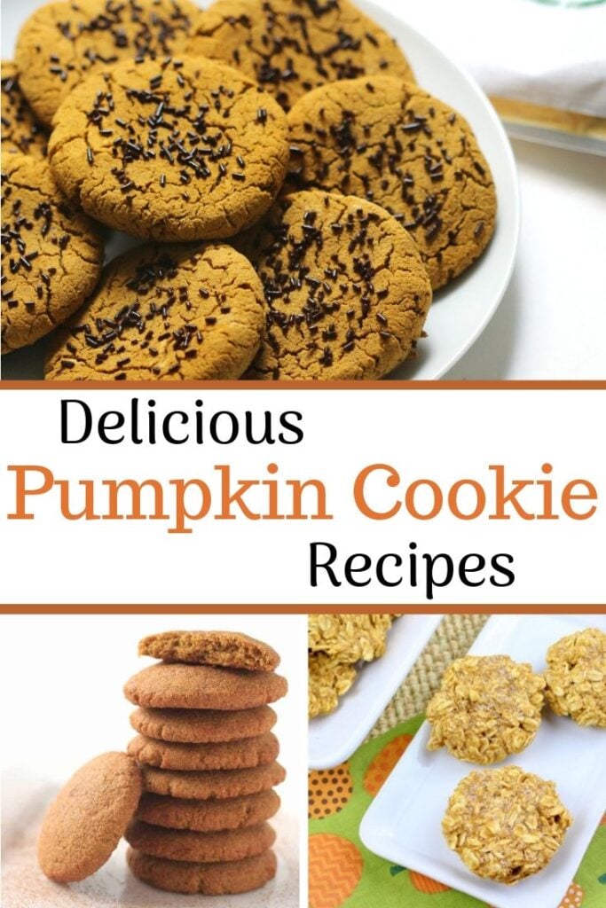 pumpkin cookie recipes